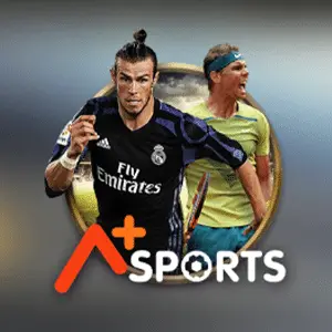 JLBOSS sports betting dashboard with live match